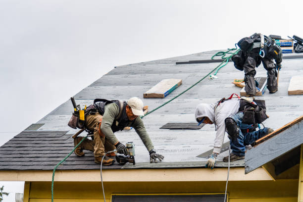 Professional Gutter Installation technician working in Dexter, MN